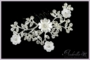 Kép 3/3 - Menyasszonyi hajékszer - indás fehér virágokkal